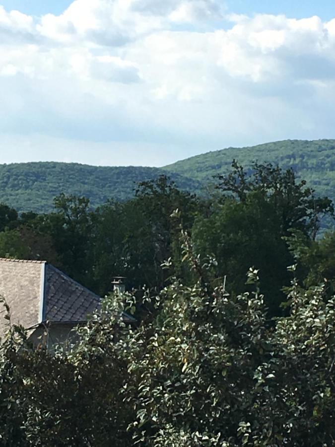 Appartement T2 Independant Dans Maison Pugny-Chatenod エクステリア 写真